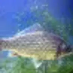 Poslednii_geroi