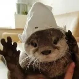 dunaiskiy1337