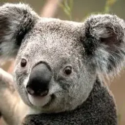 ORTUR4Ik