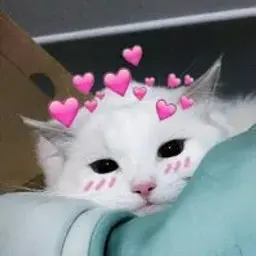 MrBePcTaK