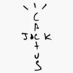 cactus_flaco