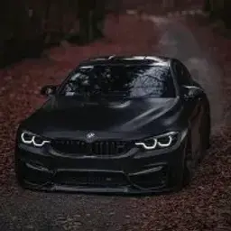 id_stalker_1