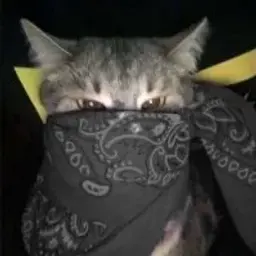 ThomasHD