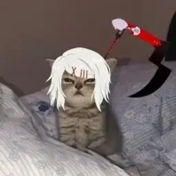 id561043557