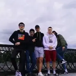 diz1110
