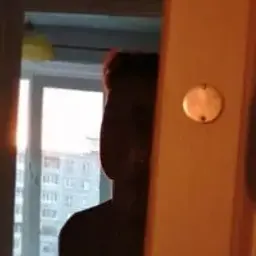plainegen