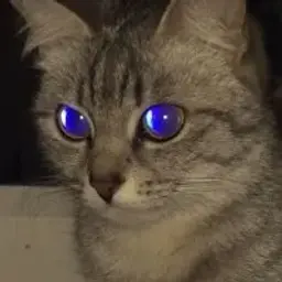 thomasdiam