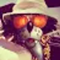 smocki13