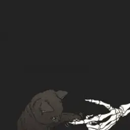 Содик