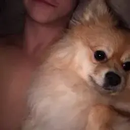 id631511851