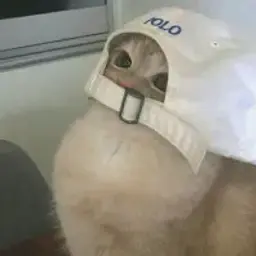 abidna