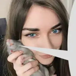 Perlfaco