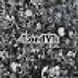 LordYk