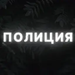 полиция