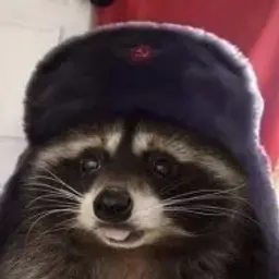 FlexLOL
