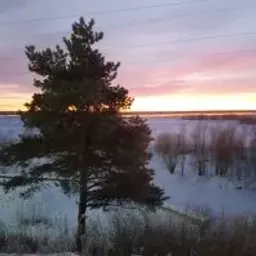 id600581435
