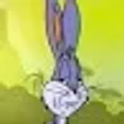 ZiBBi