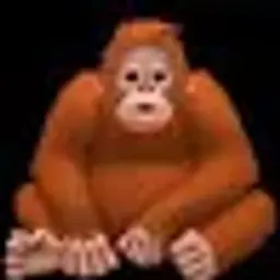 Pansha4