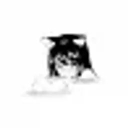 gondon228_inactive4067171