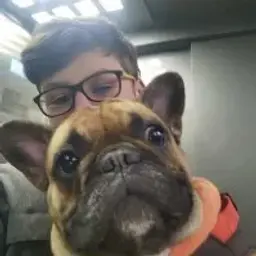 pushcinn