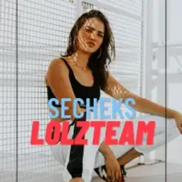 secheks