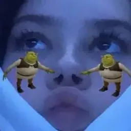gufficlupi