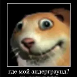 AssBass2007
