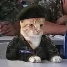 Alozyan