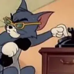 vedro222
