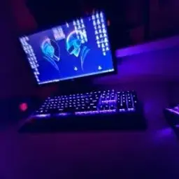 dannki