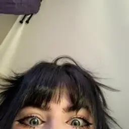 adjisai