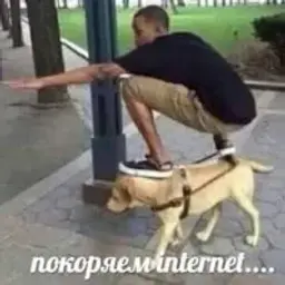 NoLetime
