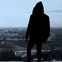 vakhidredtiger