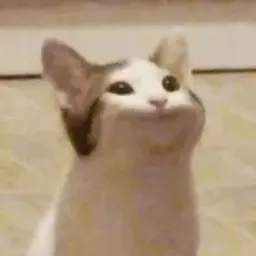 Leetoi