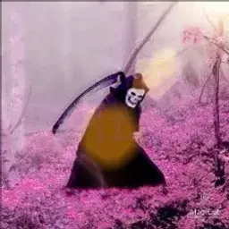 aradiru