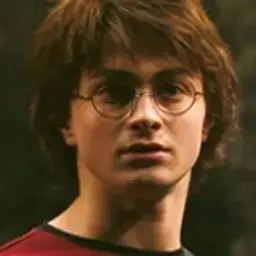 harrypotter_inactive4146284
