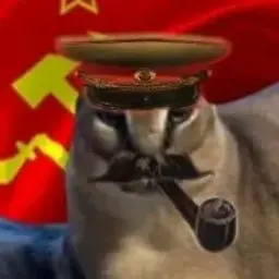 dm_vev