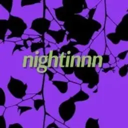 nightinnn