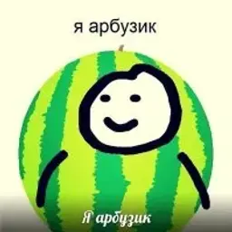 kotashotik