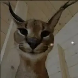 ayffffd