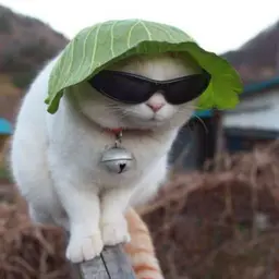 Hekkk