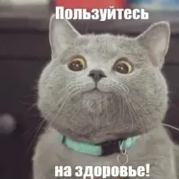 mrvasektay