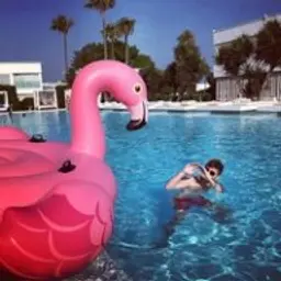 slav1qq