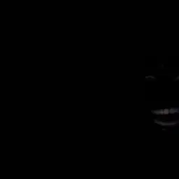 virwel