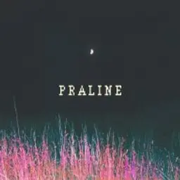 PRALINE_inactive904380