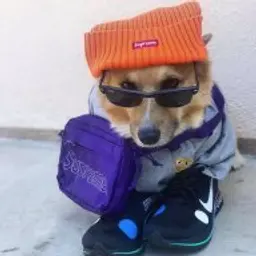 Eremnvv
