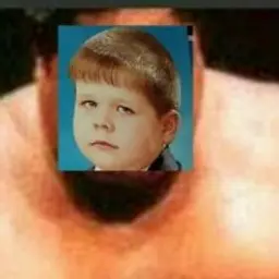 vasddasfa