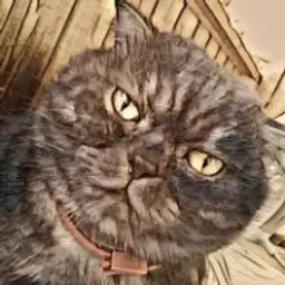 LanyGo