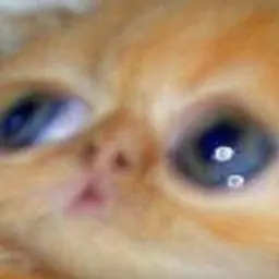 ANIGELATOR