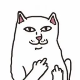 iopoi
